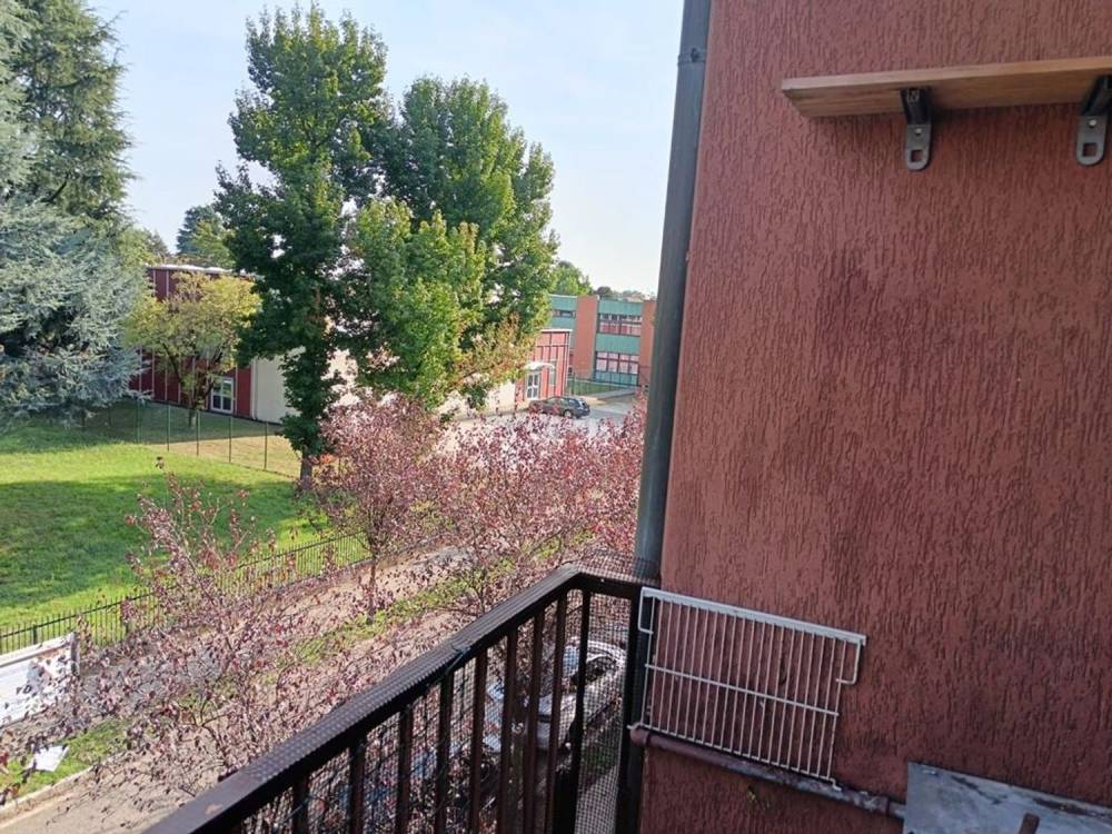 immagine annuncio 11 di 13