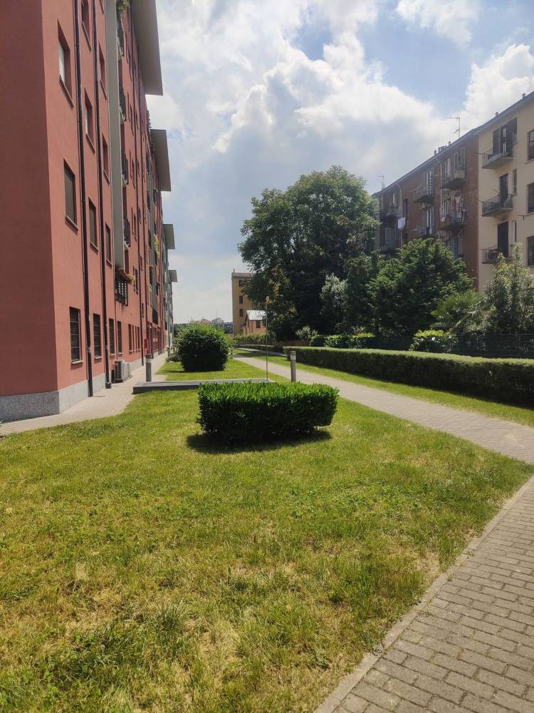 immagine annuncio 8 di 13