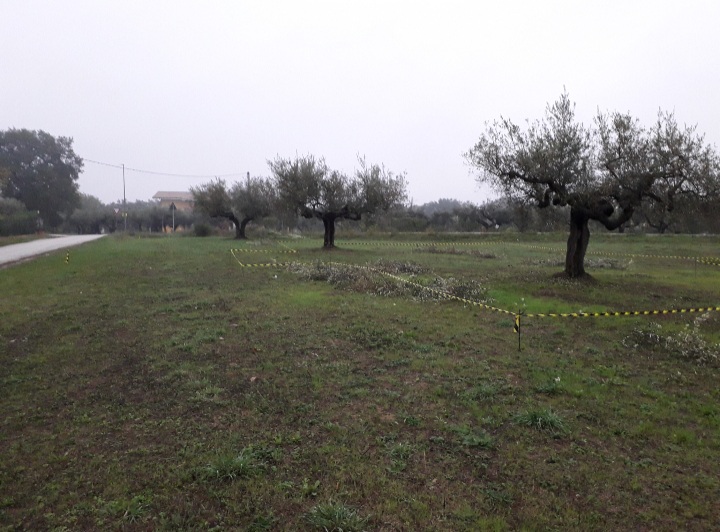 immagine annuncio 1 di 11