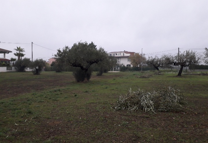 immagine annuncio 5 di 11