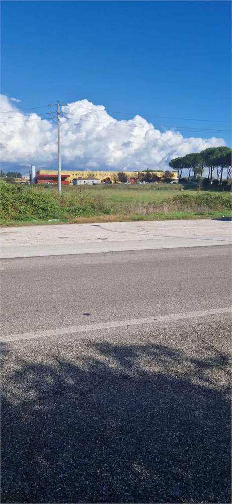 immagine annuncio 5 di 6