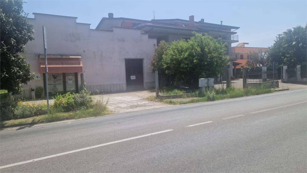 immagine annuncio 4 di 7