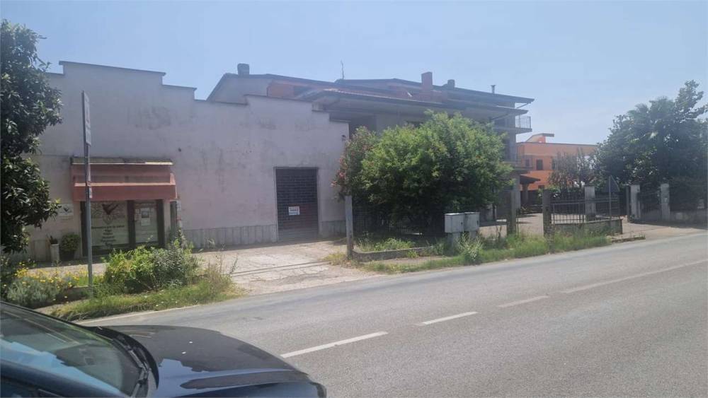 immagine annuncio 5 di 7