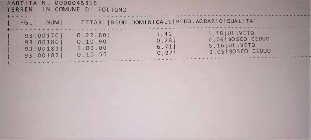 immagine annuncio 2 di 3