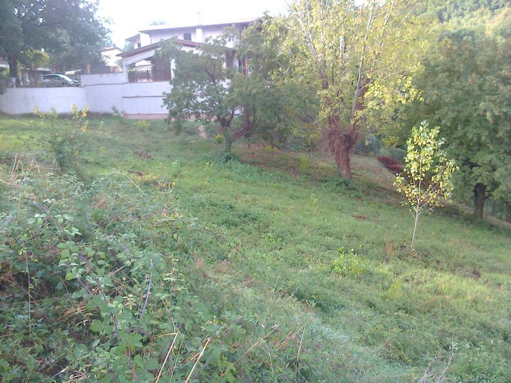 immagine annuncio 2 di 12