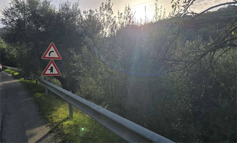 immagine annuncio 10 di 11