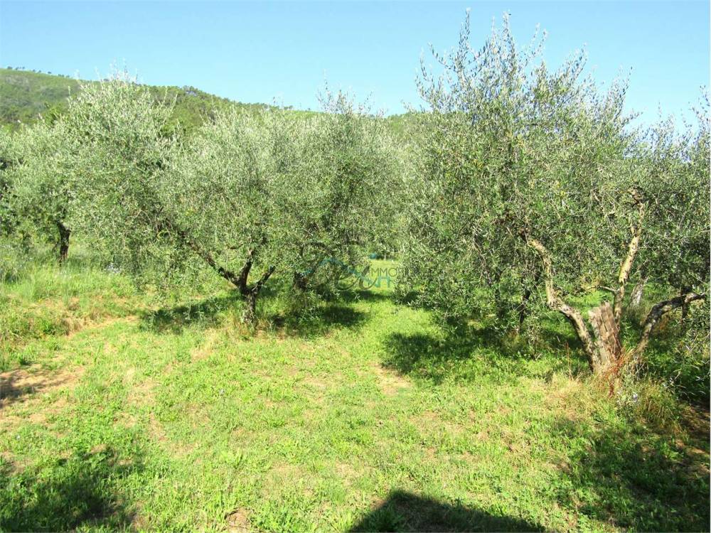 immagine annuncio 10 di 13