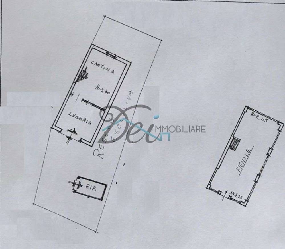 immagine annuncio 5 di 7