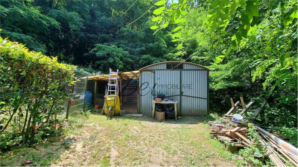 immagine annuncio 7 di 13