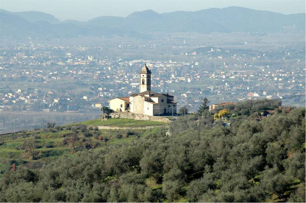 immagine annuncio 1 di 6