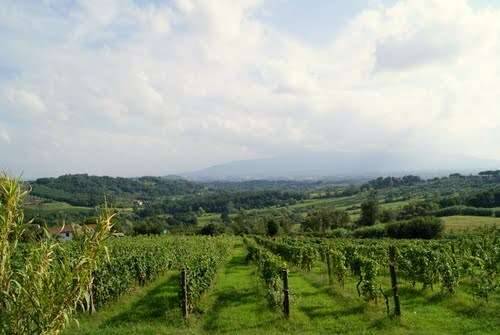 immagine annuncio 2 di 6