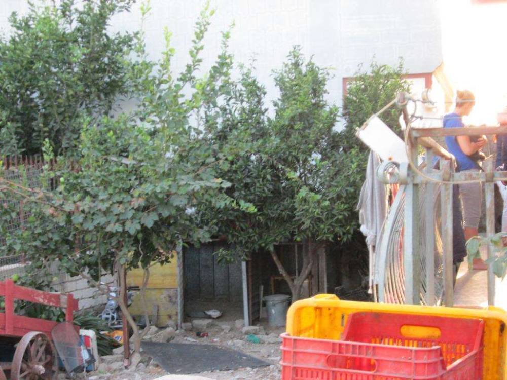 immagine annuncio 6 di 9