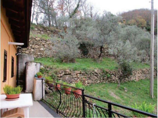 immagine annuncio 1 di 9