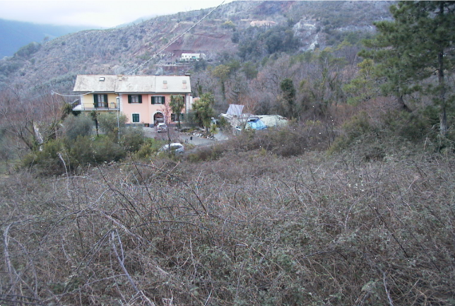 immagine annuncio 1 di 7