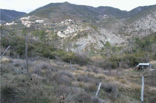 immagine annuncio 4 di 7