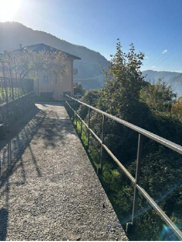 immagine annuncio 2 di 8
