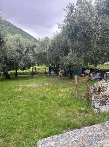 immagine annuncio 4 di 7