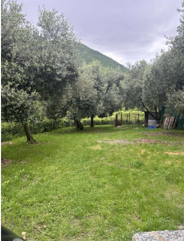 immagine annuncio 5 di 7