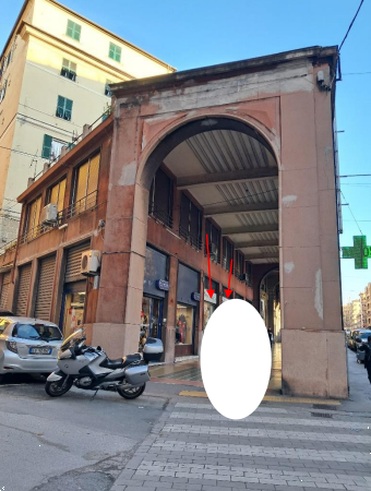 immagine annuncio 3 di 12
