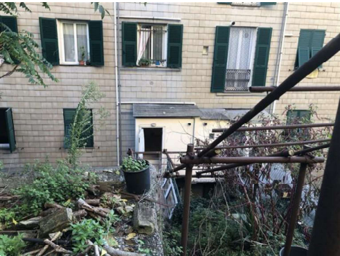 immagine annuncio 3 di 13