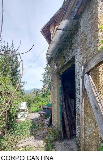immagine annuncio 5 di 13