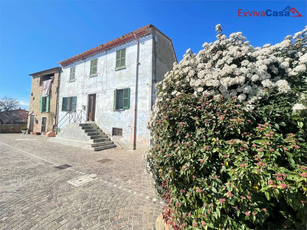 immagine annuncio 2 di 14