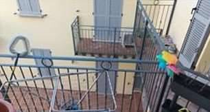 immagine annuncio 11 di 13