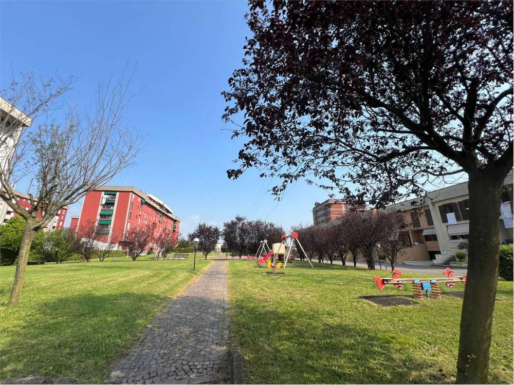 immagine annuncio 4 di 9