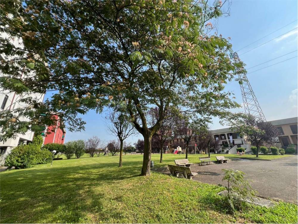 immagine annuncio 6 di 9