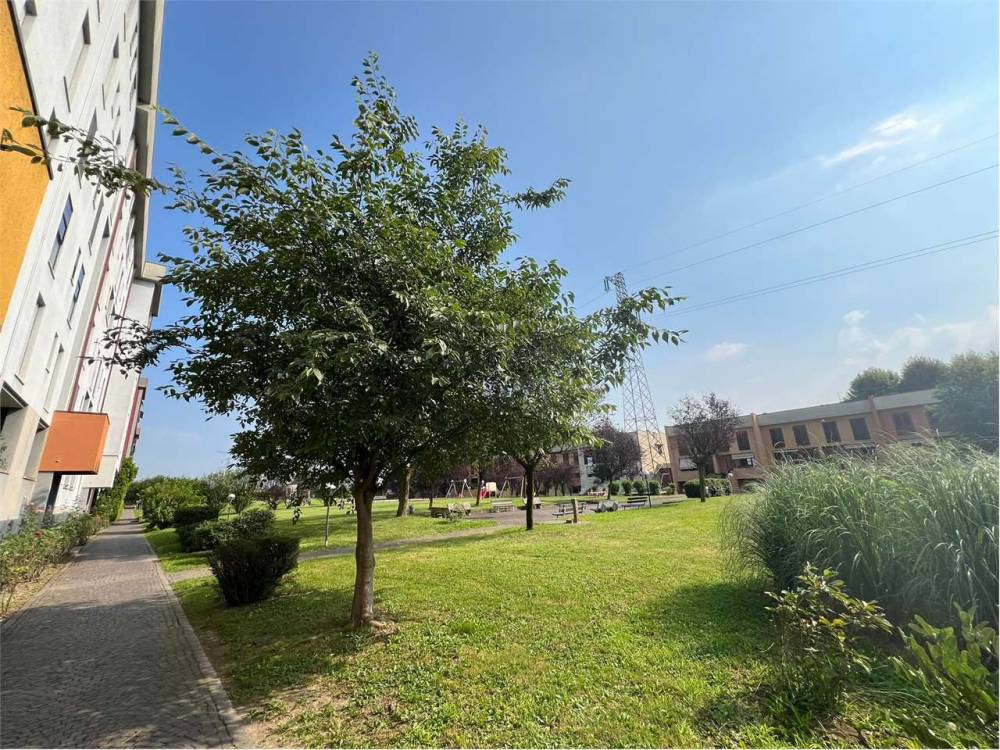 immagine annuncio 7 di 9