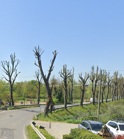 immagine annuncio 4 di 13