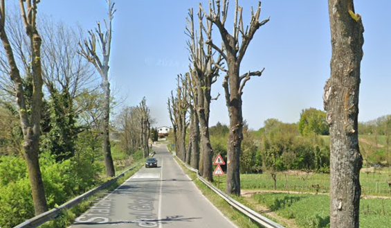immagine annuncio 5 di 13
