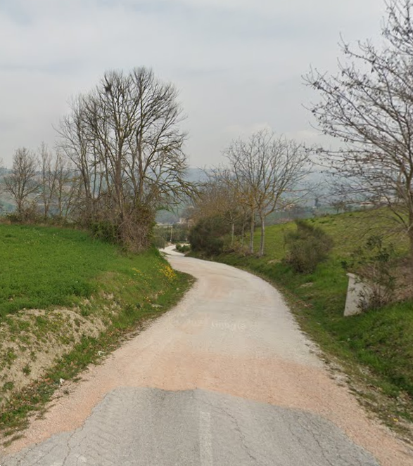 immagine annuncio 1 di 13