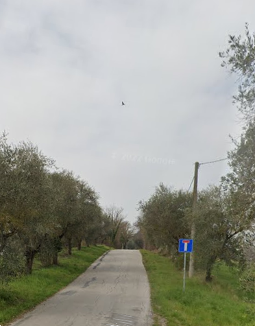 immagine annuncio 2 di 13