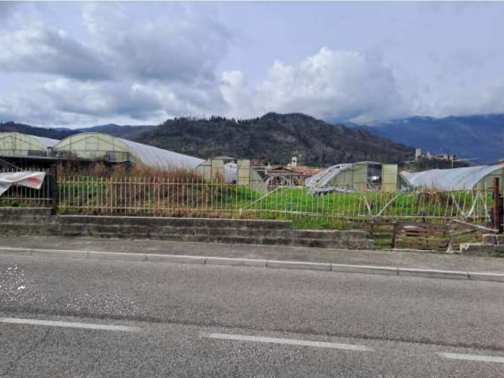 immagine annuncio 6 di 13