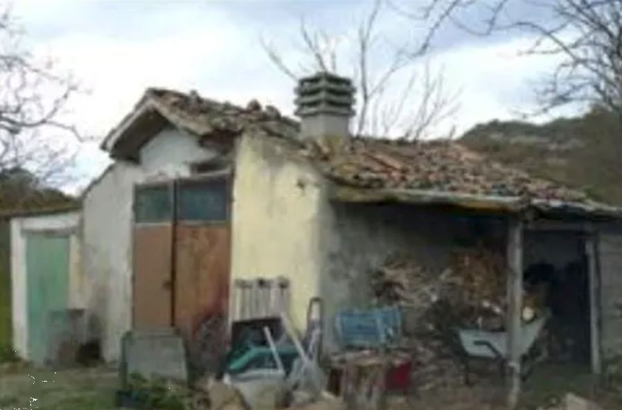 immagine annuncio 2 di 13
