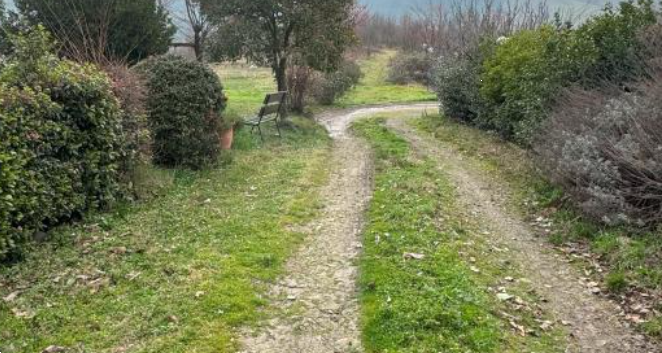 immagine annuncio 1 di 9