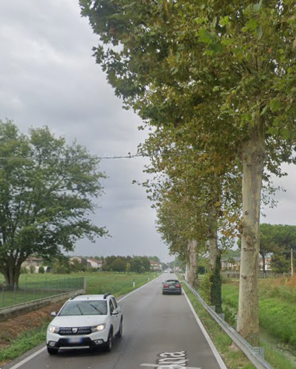 immagine annuncio 5 di 12