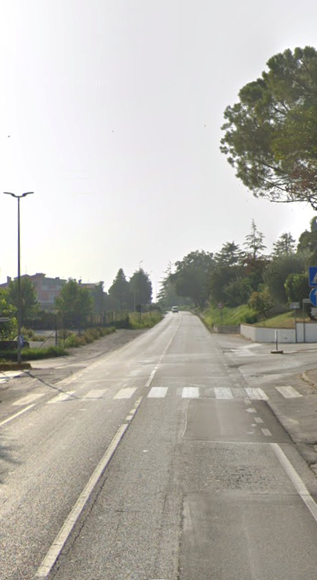 immagine annuncio 5 di 12