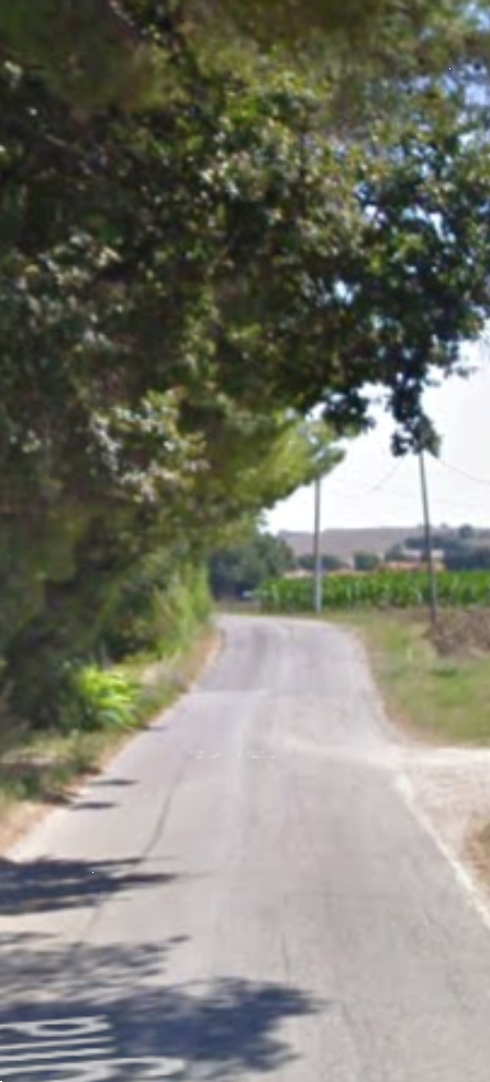 immagine annuncio 12 di 13