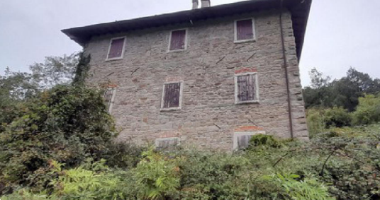 immagine annuncio 3 di 13