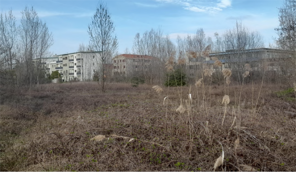 immagine annuncio 2 di 13