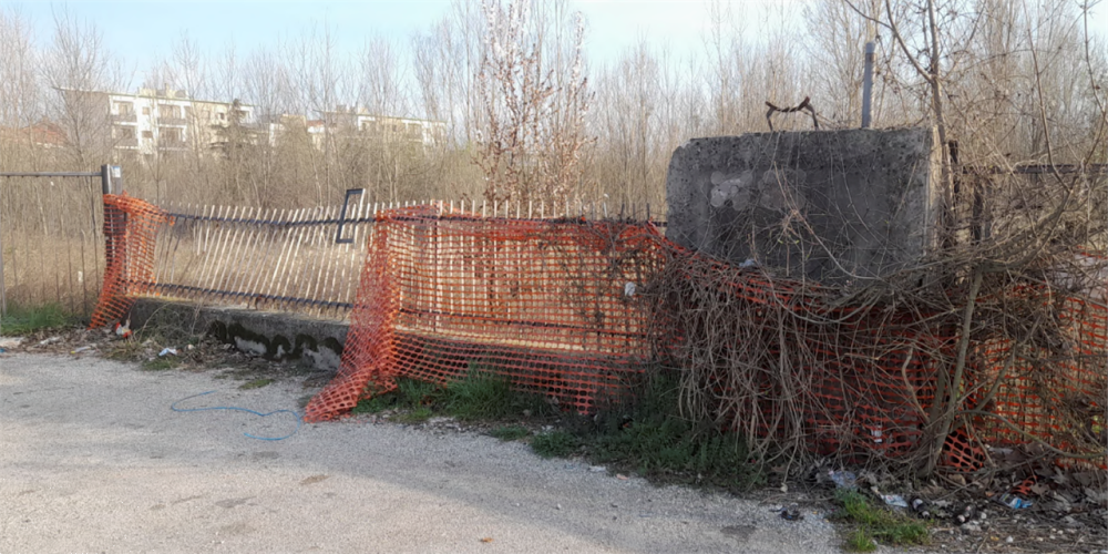 immagine annuncio 3 di 13