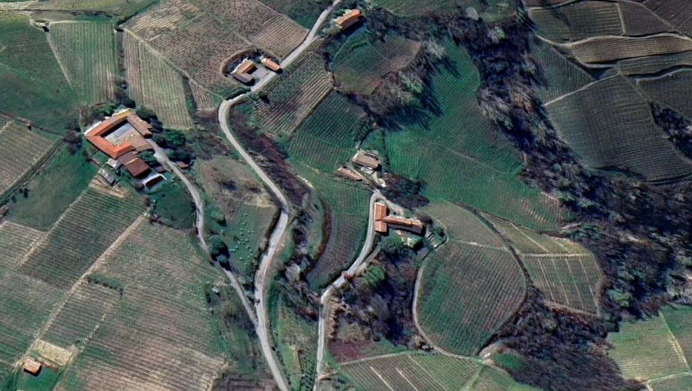 immagine annuncio 5 di 13