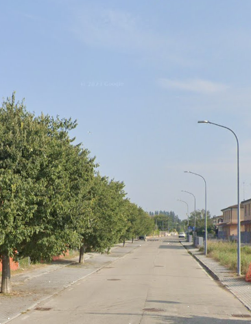 immagine annuncio 11 di 13