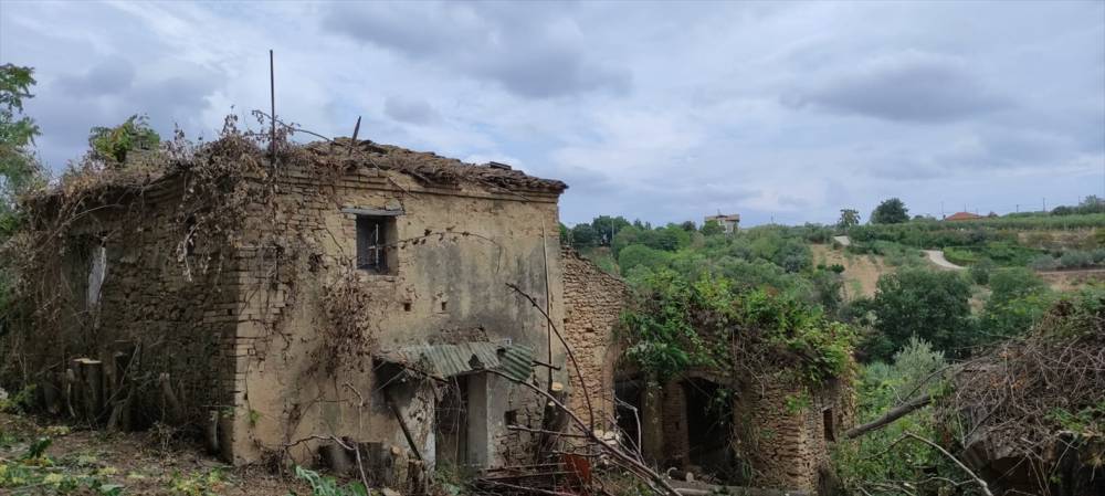 immagine annuncio 9 di 11