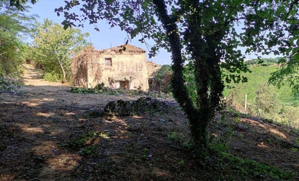 immagine annuncio 10 di 11