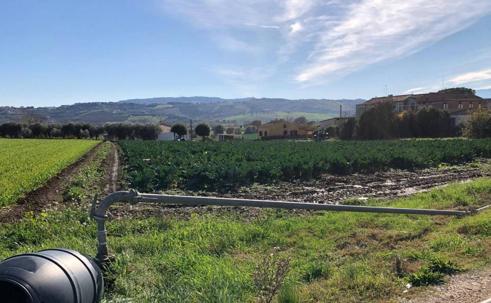 immagine annuncio 5 di 9