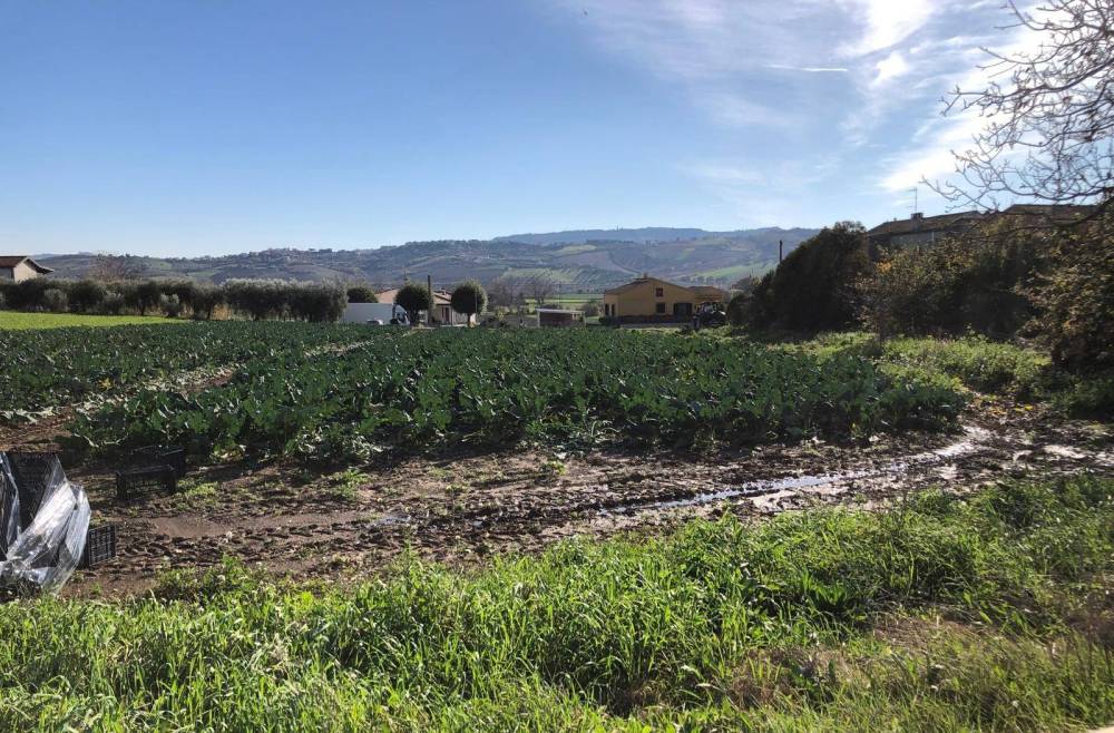 immagine annuncio 6 di 9