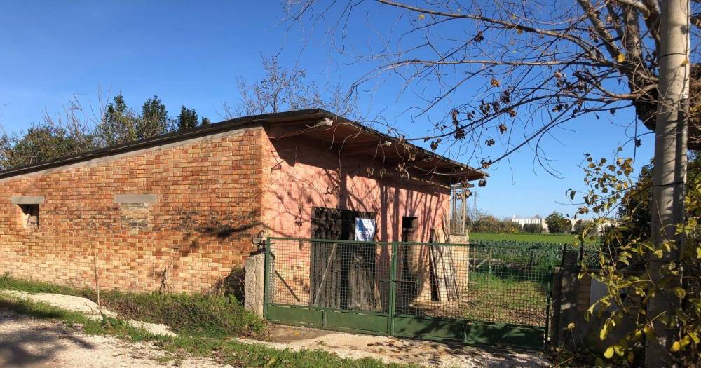 immagine annuncio 7 di 9